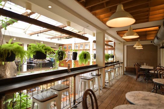 Lucky Cat Coffee & Kitchen
